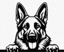 Silueta Perro. Madera. Con nombre.
